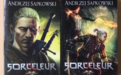 Les adaptations de livres et leurs enjeux économiques : le cas The Witcher