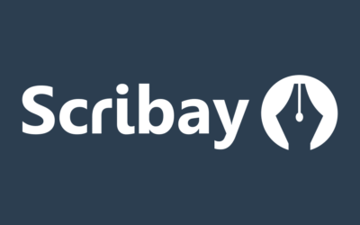 Les plateformes d’écriture et l’édition traditionnelle : l’exemple de Scribay